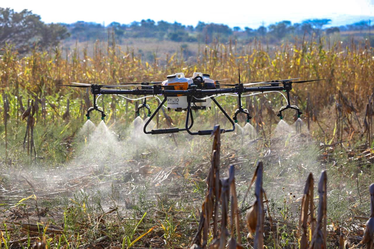 drones-del-mag-fumigan-cultivos-que-reportan-presencia-de-langostas-voladoras